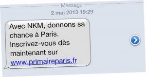 politique NKM